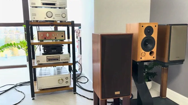 Для сравнения связка Pioneer A09, Pioneer S-PM 1000, Sony cdp R3