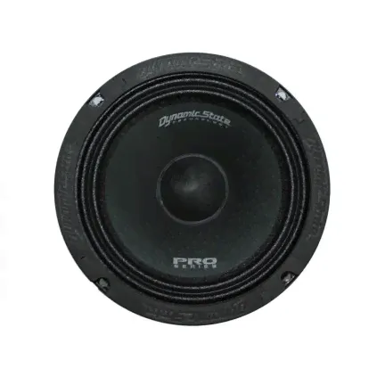 Dynamic State PM-165.1 Pro Series эстрадная акустика от ReLoud